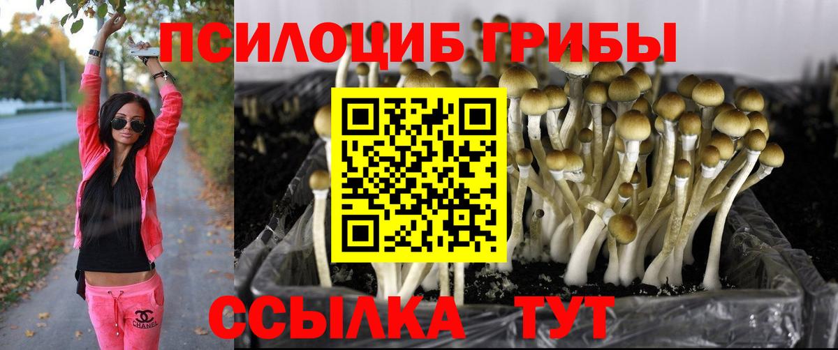 Галлюциногенные грибы мицелий Грязи