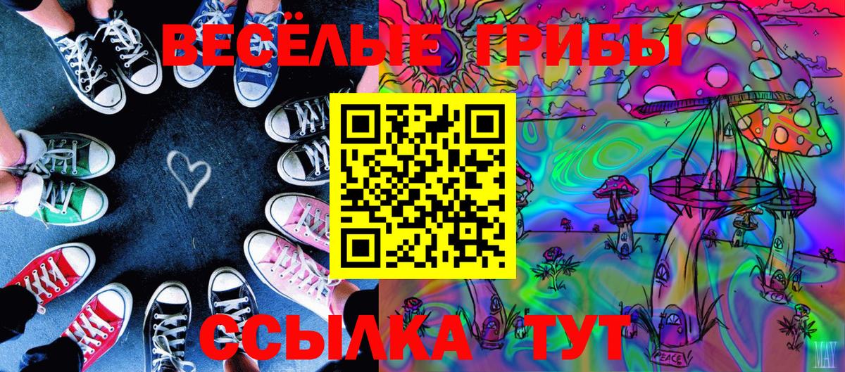 где купить   Галлюциногенные грибы прущие грибы  Вход с VPN  Грязи 